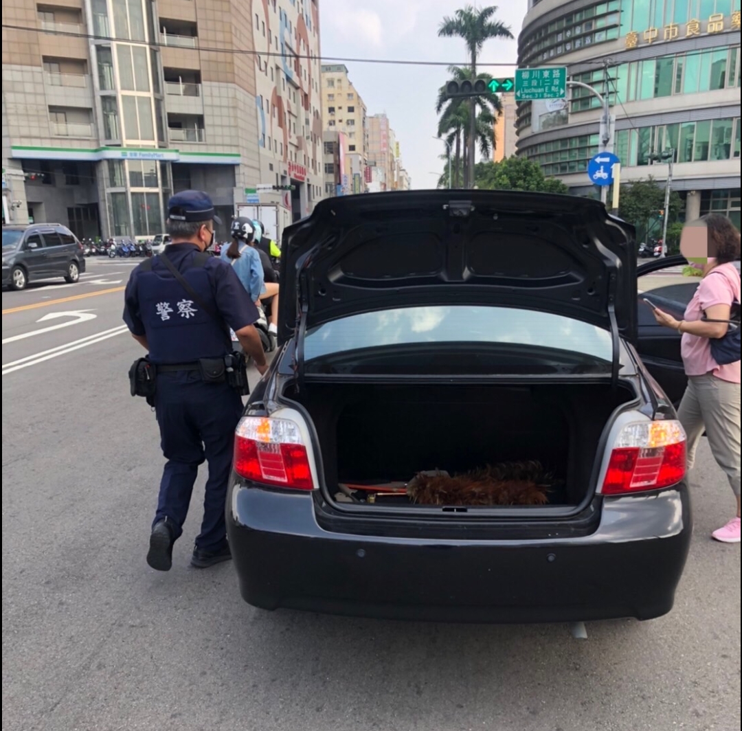 轎車引擎熄火故障卡路中-熱心暖警徒手推車解窘境