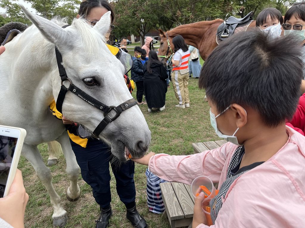 中部唯一校內馬廄　東海大學首推兒童馬術營隊