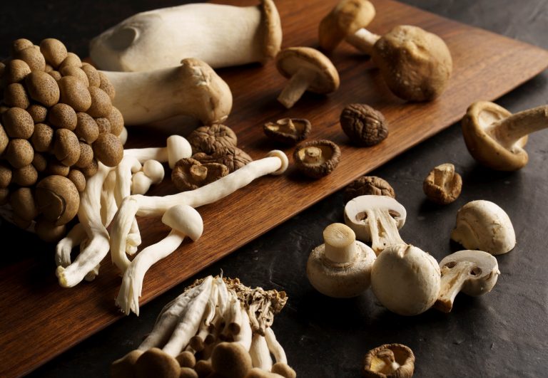 灃食發行蔬食季刊   倡議好好吃飯八分飽理念