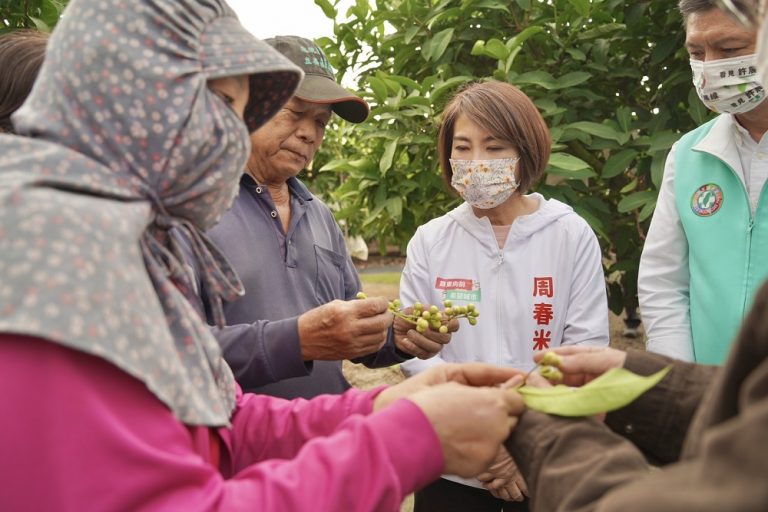 屏東寒害蓮霧落果 周春米上任即赴產區了解