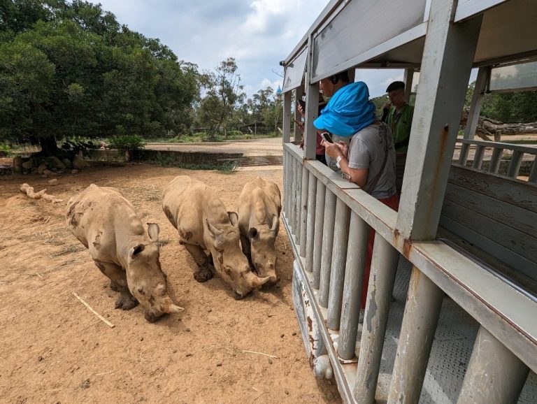 熱情舞者輪番炫技大秀南島風情 六福村歡慶原住民日!! 限時好康優惠暢玩只要$499
